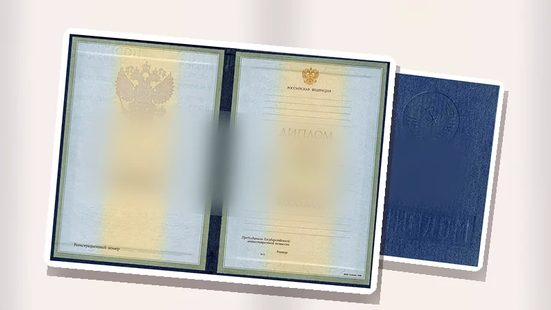 Диплом ВПО: что изменилось в современной системе