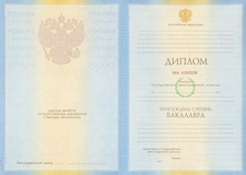 Диплом 2009-2010