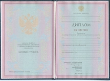 Диплом СПО 2004-2008
