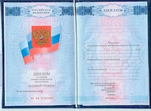Диплом СПО 2009-2013